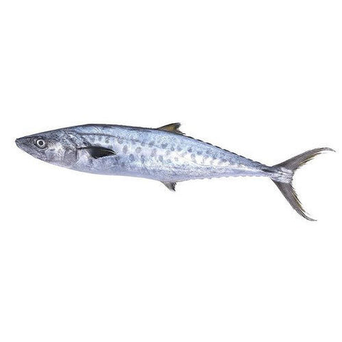 Dry King Fish(Vanjaram) 100gms